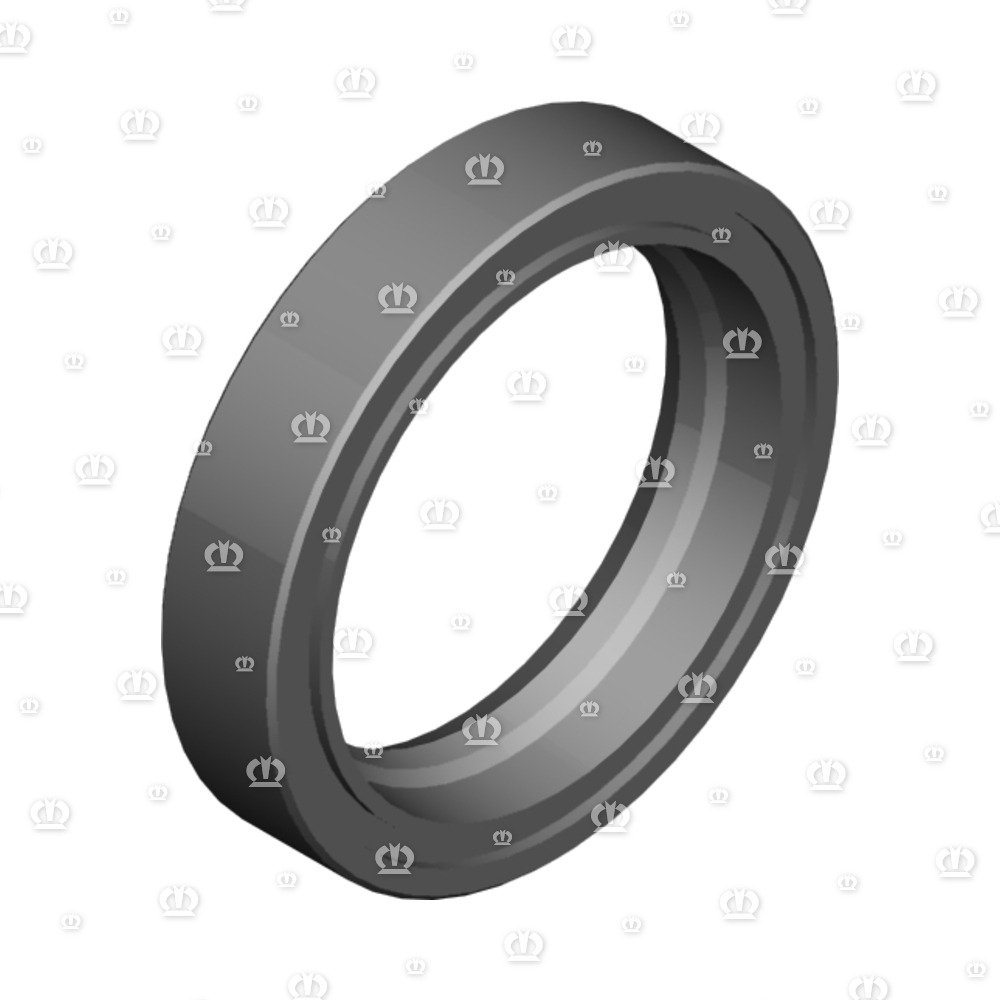 SI.RING A25X35X7