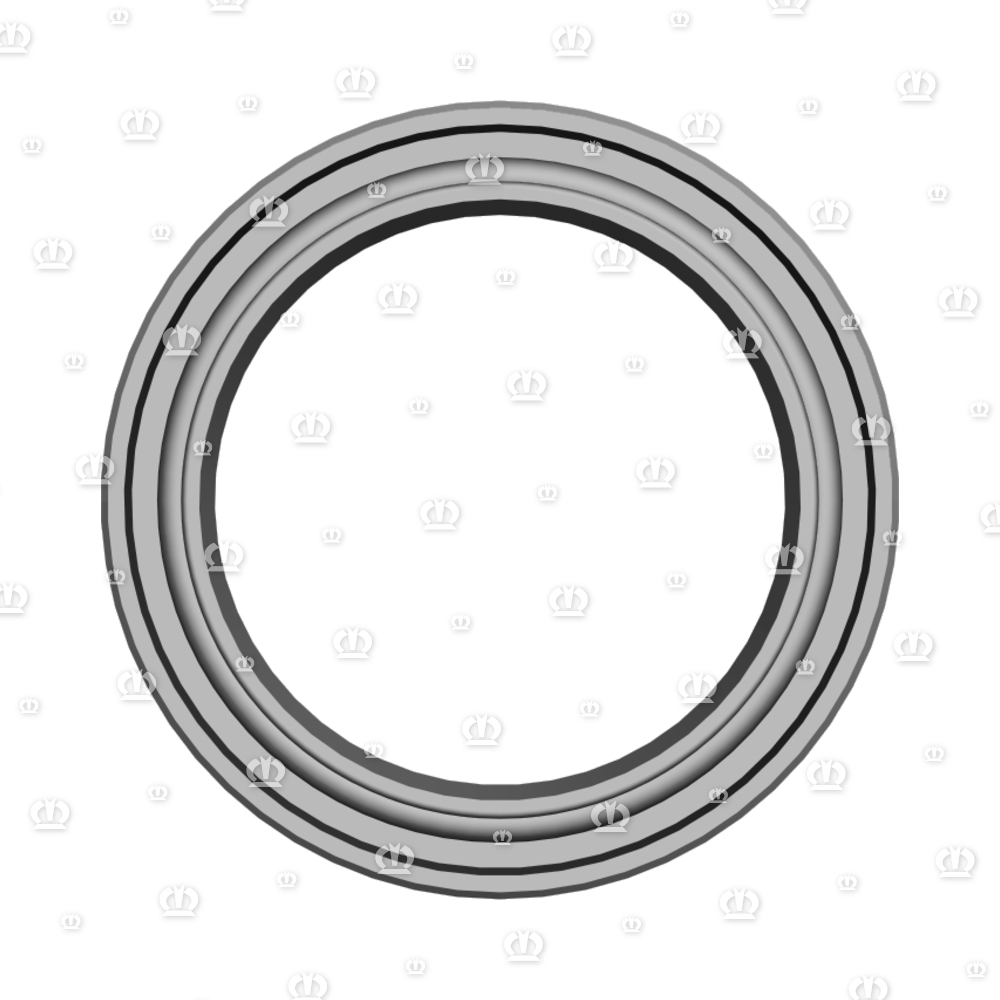 SI.RING A25X35X7