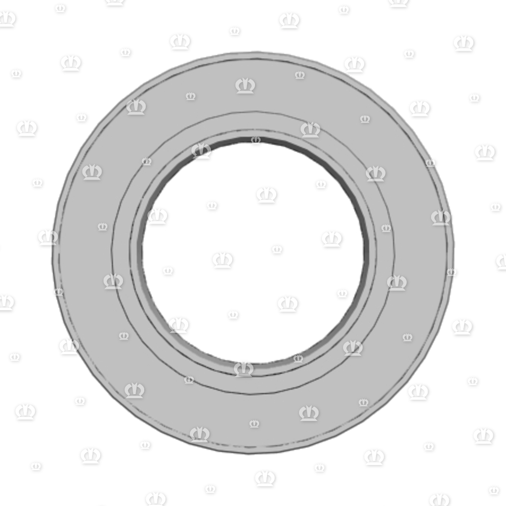 SI.RING 55X100X10