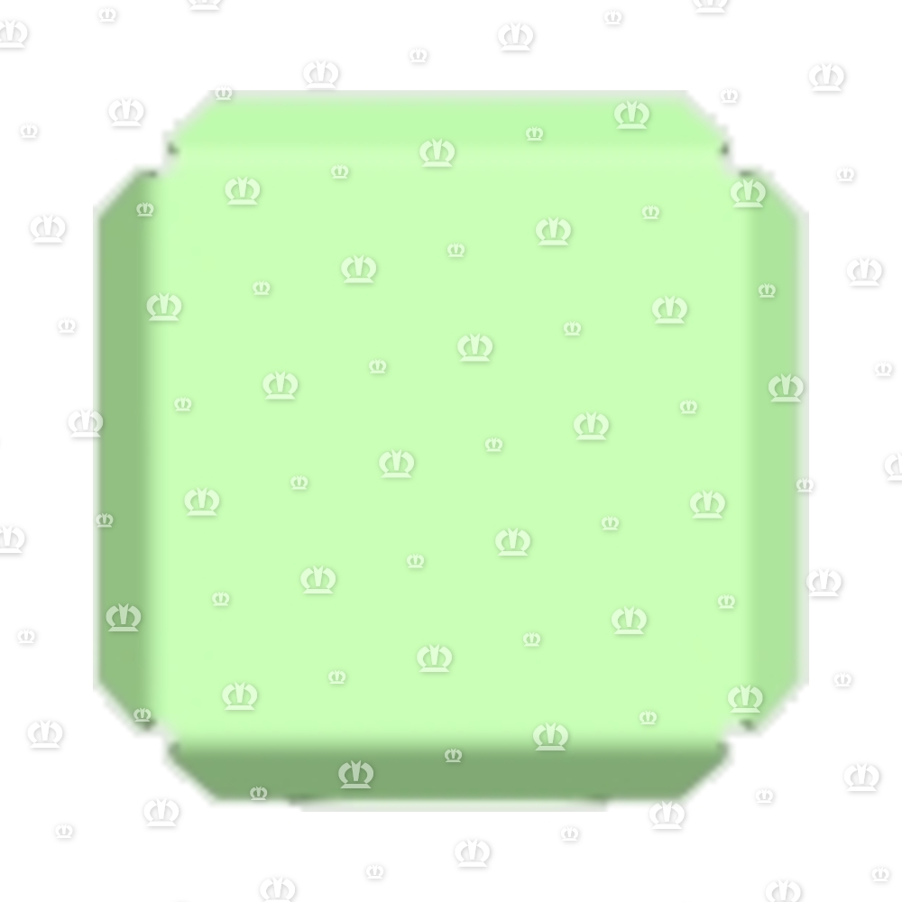 Stützfuß