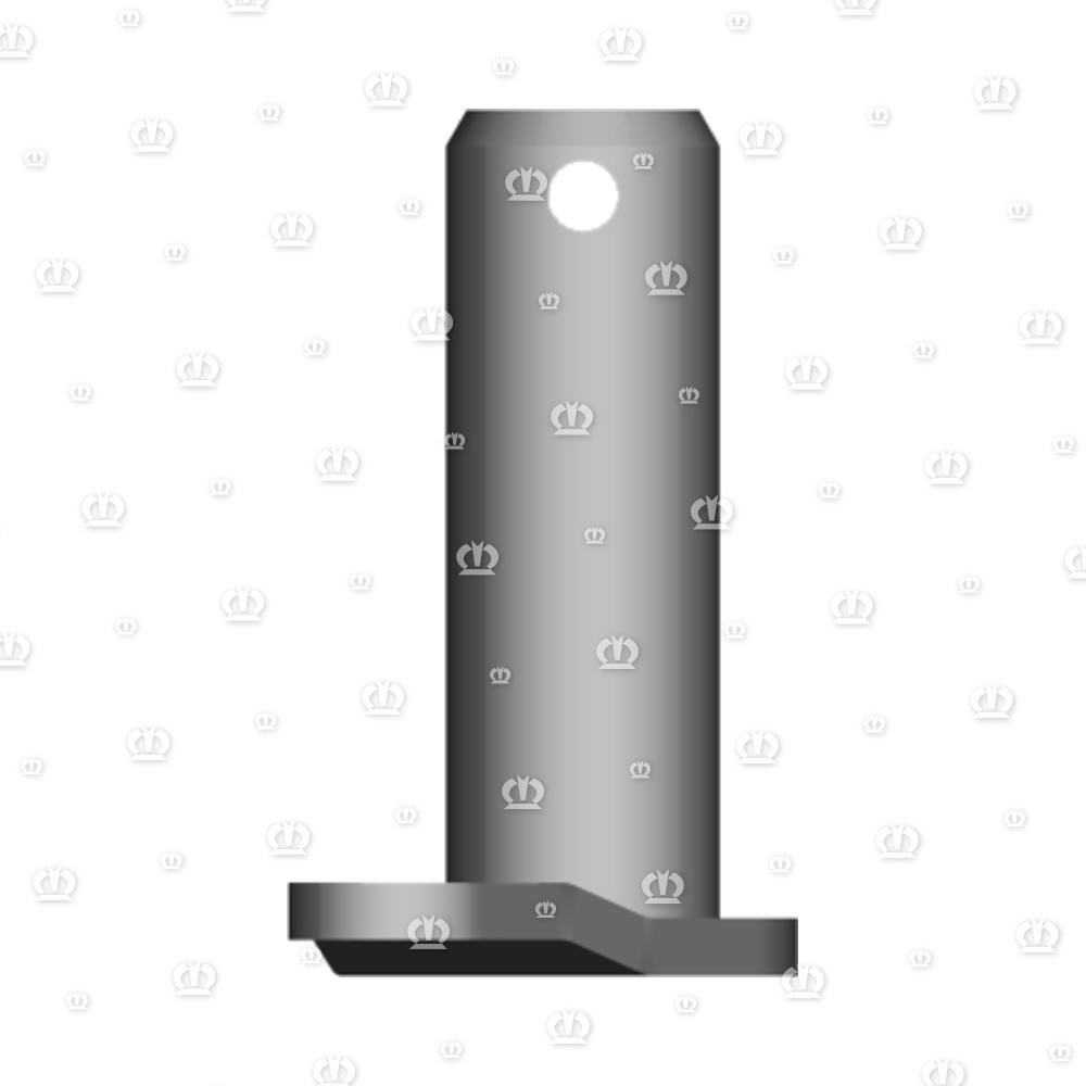 Bolzen Unterlenker hinten