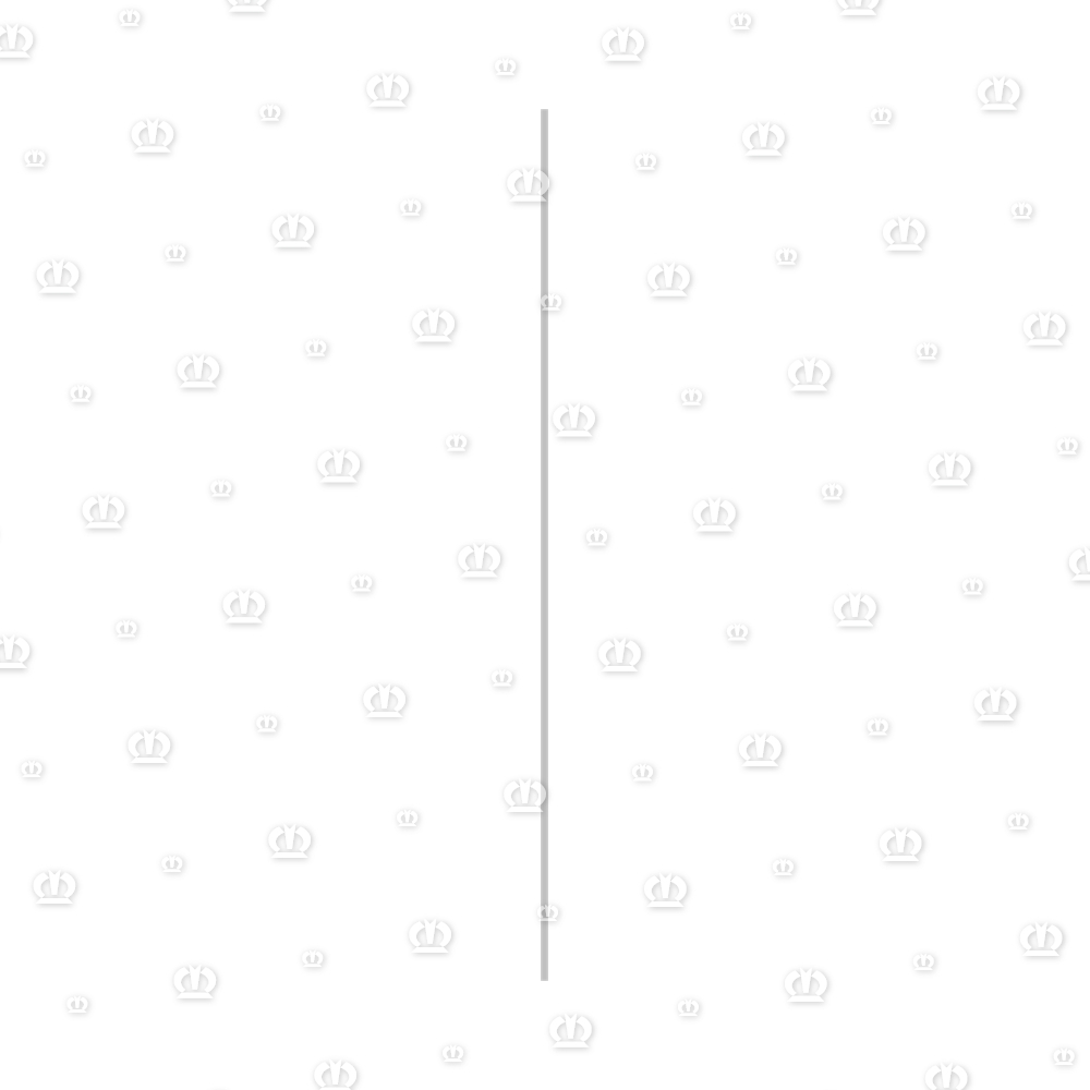 Klemmband Front 407 lg.