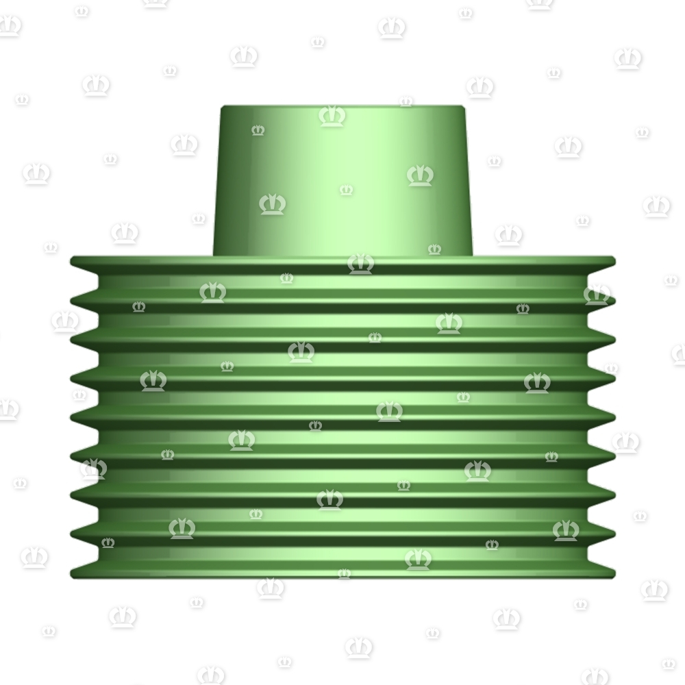 Riemenscheibe 8 / 268mm