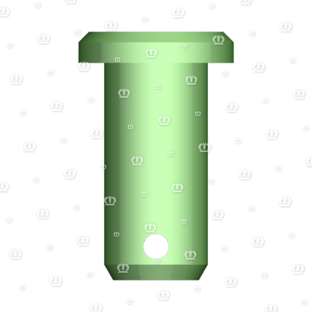 Bolzen mit Kopf 20 X 42