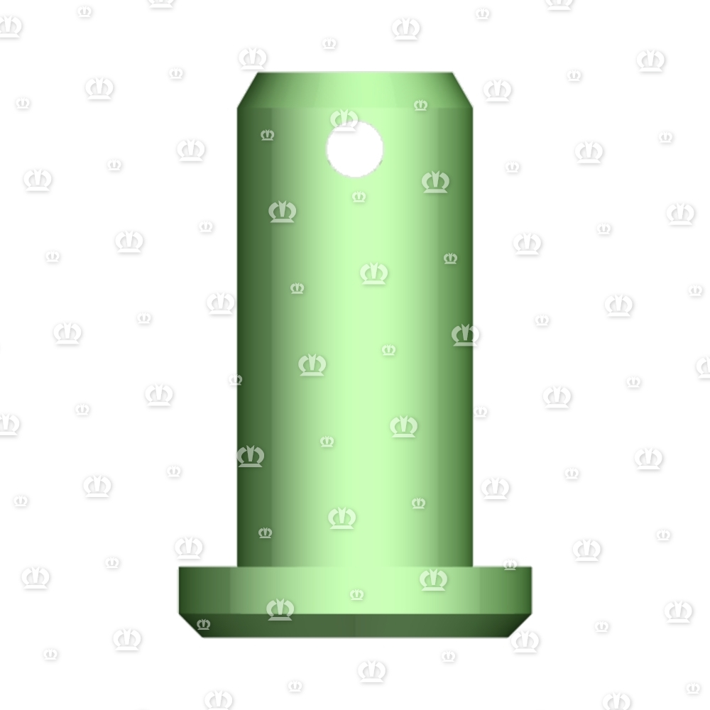 Bolzen mit Kopf 20 X 42