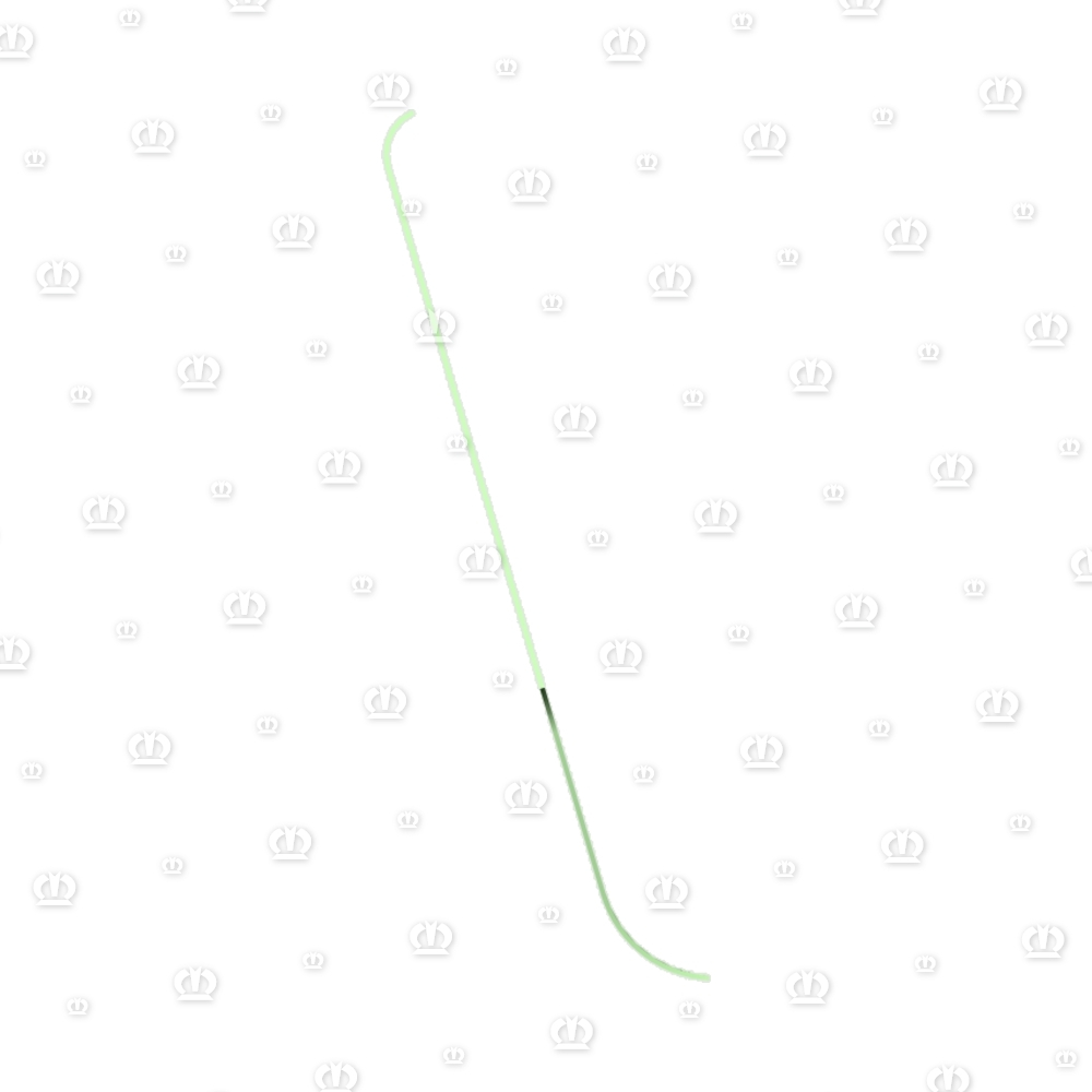 Schutz vorne, links
