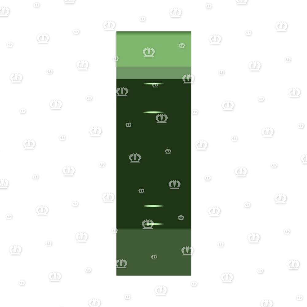 Gleitschiene 5306 lang