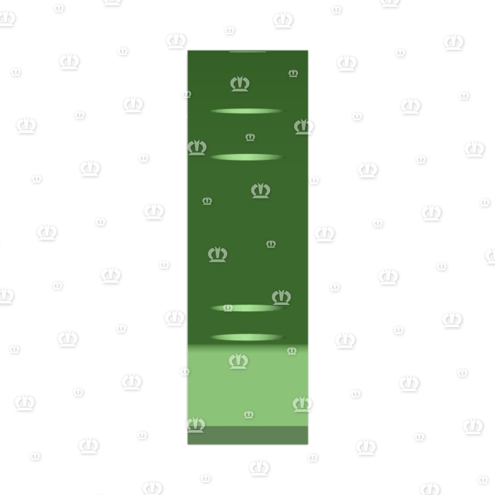 Gleitschiene 5306 lang