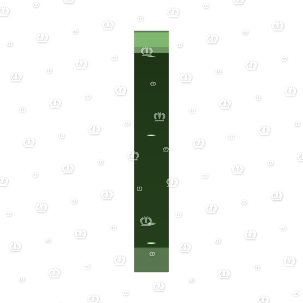 Gleitschiene 6127 lang