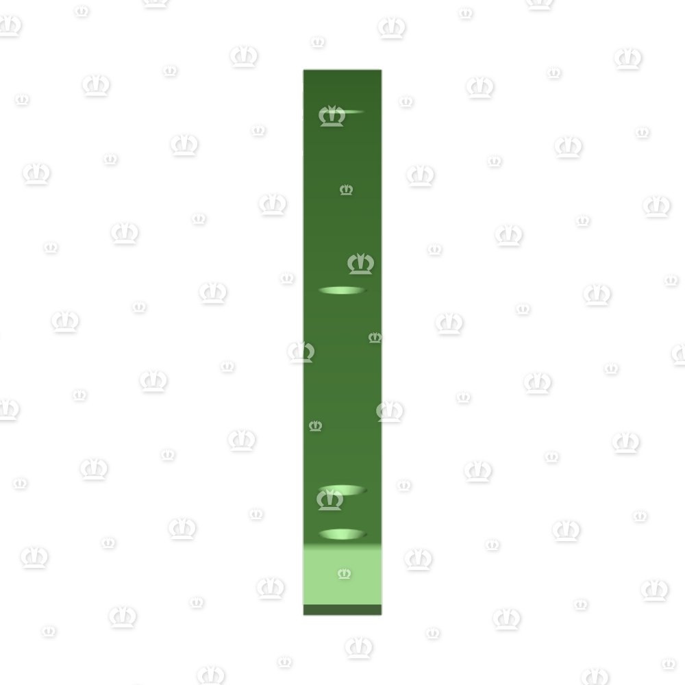 Gleitschiene 6127 lang