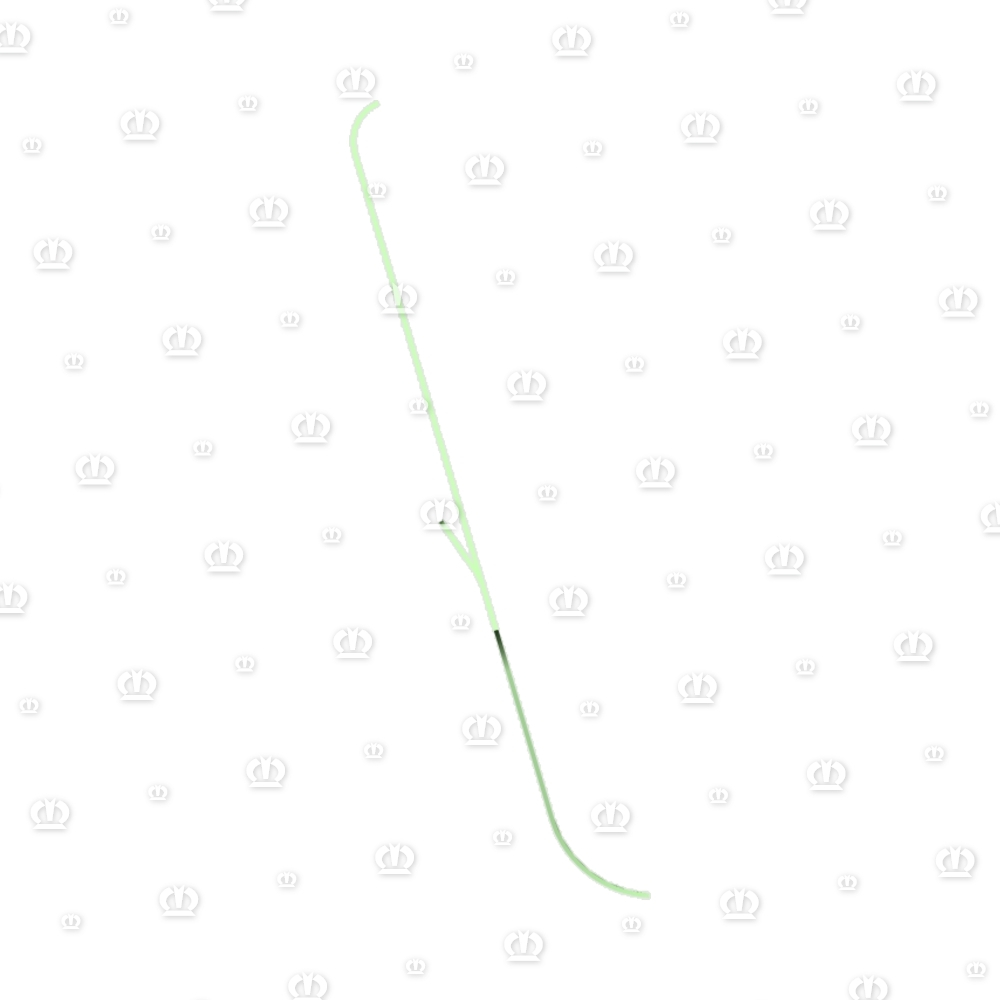 Schutz vorne, links