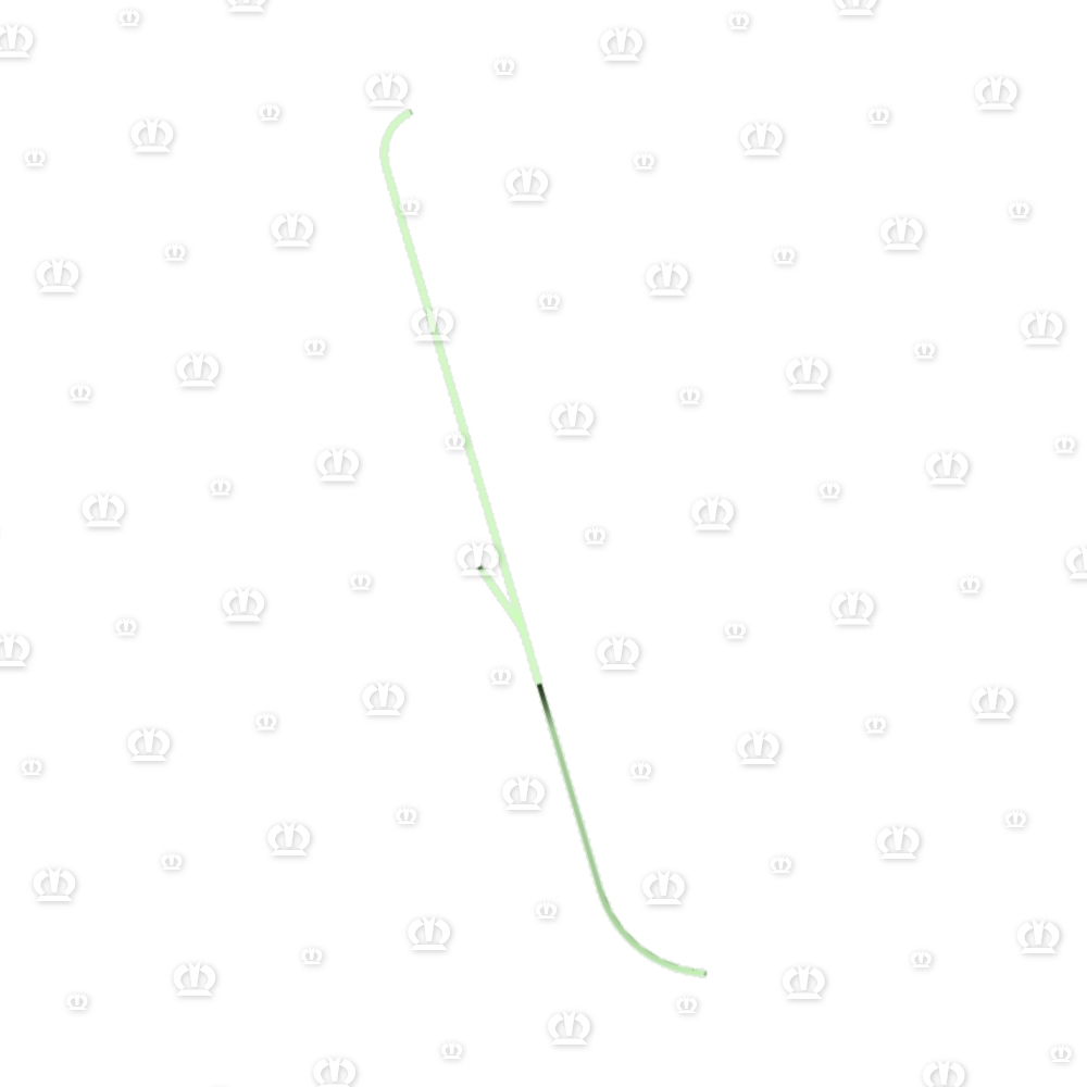 Schutz vorne, links