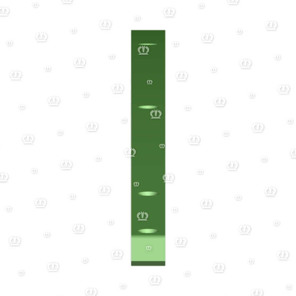 Gleitschiene