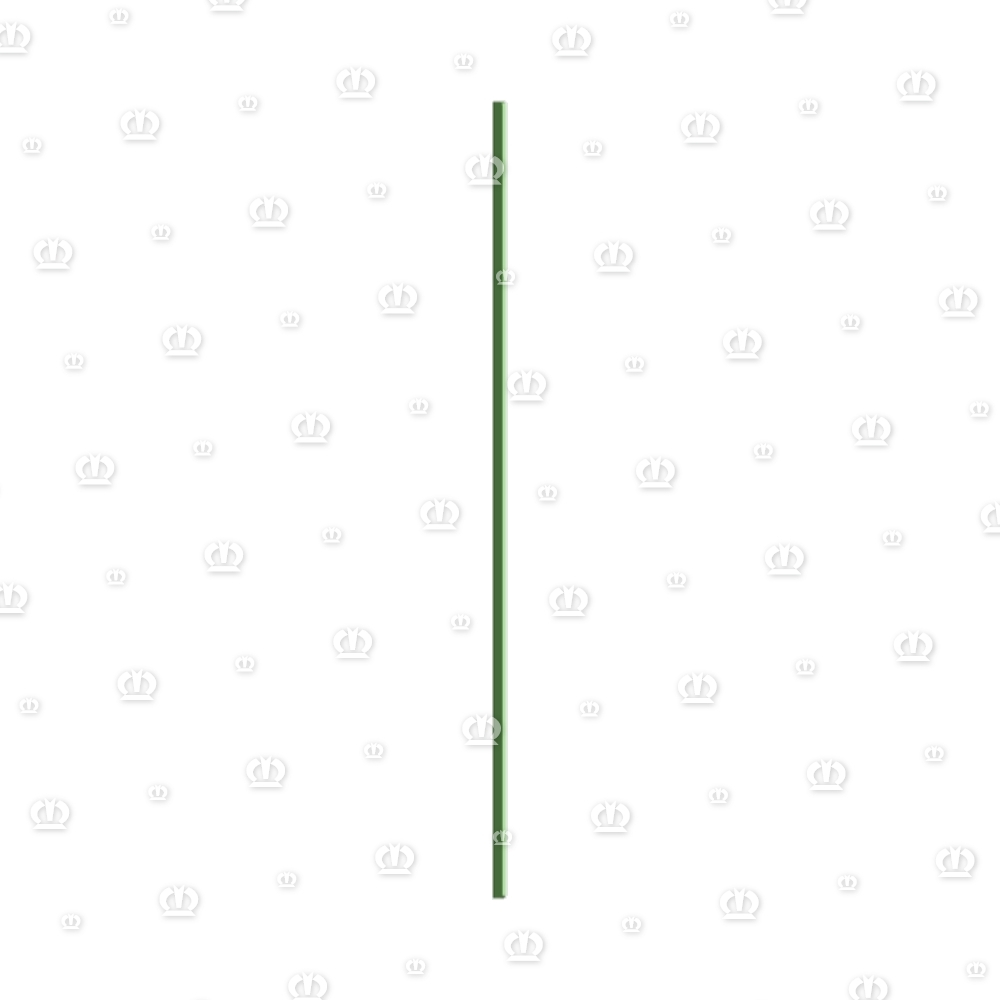 Leiste 60x1070