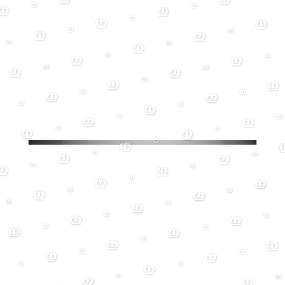 Anlaufscheibe 50,30 x 100 x 2