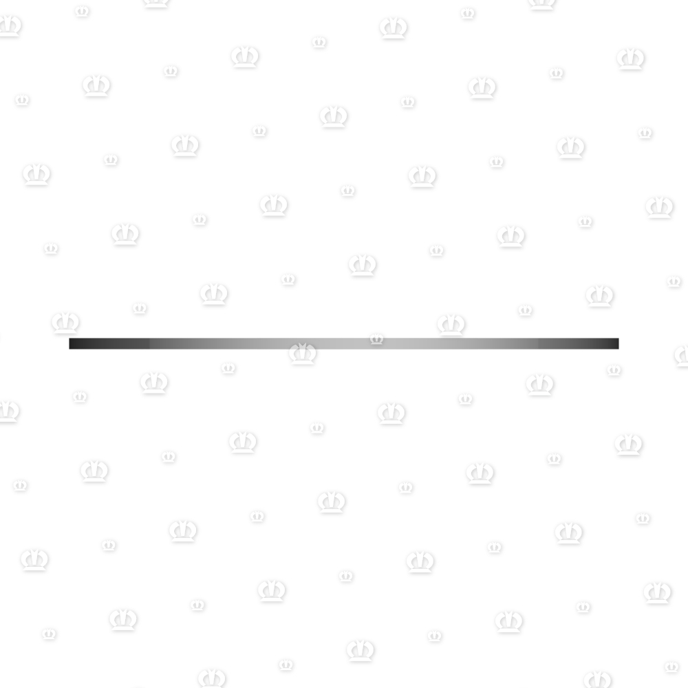 Anlaufscheibe 50,30 x 100 x 2