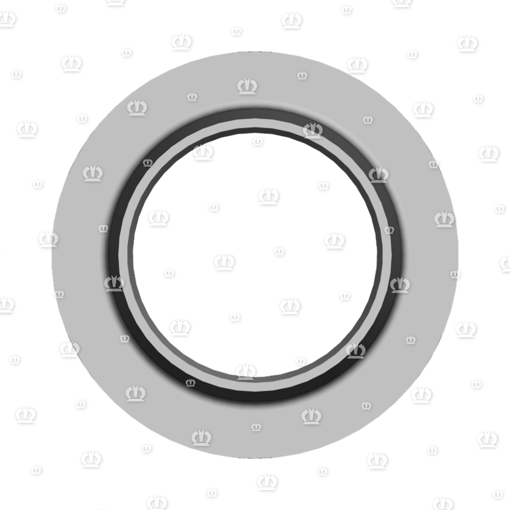 GLEITRING RD130X75