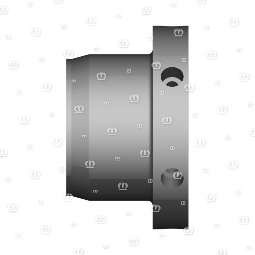 GLEITRING RD130X75