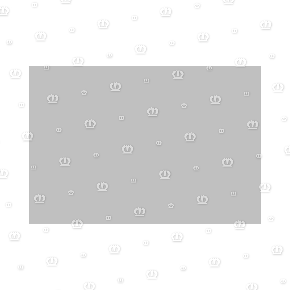 GUMMIPLATTE 250X170X20