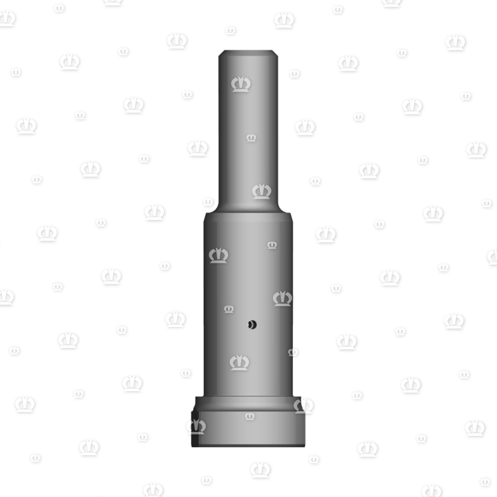 AUFNAHMEBOLZEN RD.45X133