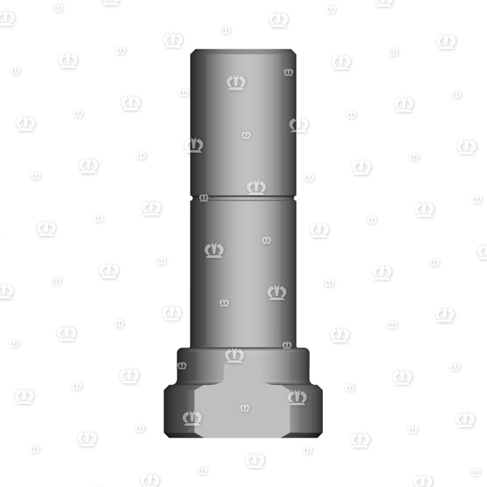 LAGERSCHRAUBE HI.RD 30X75