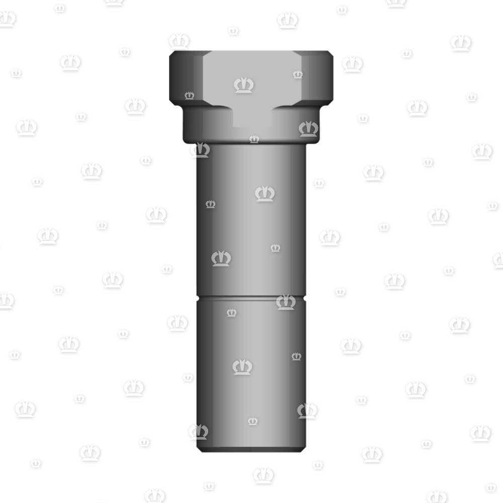 LAGERSCHRAUBE HI.RD 30X75