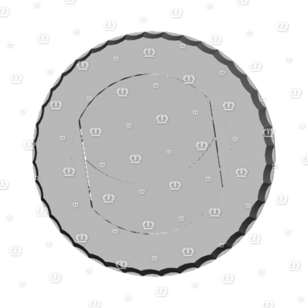 LUFTAUSSTROEMER D=100MM