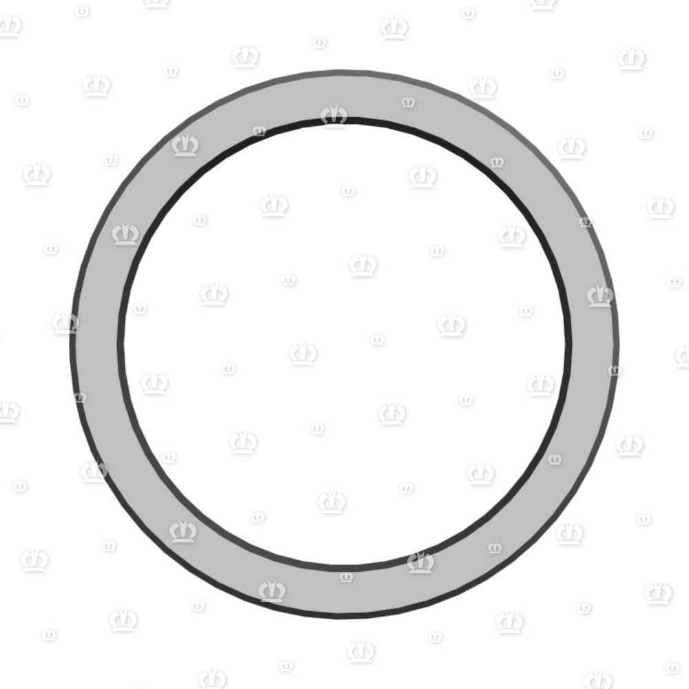 DRUCKRING RO.54X8,8X25,7