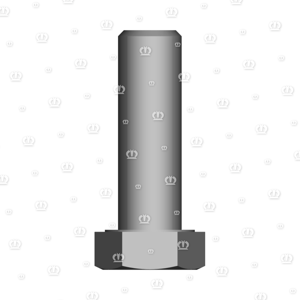 Hohlschraube M16x50