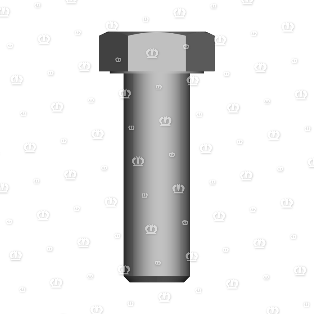 Hohlschraube M16x50