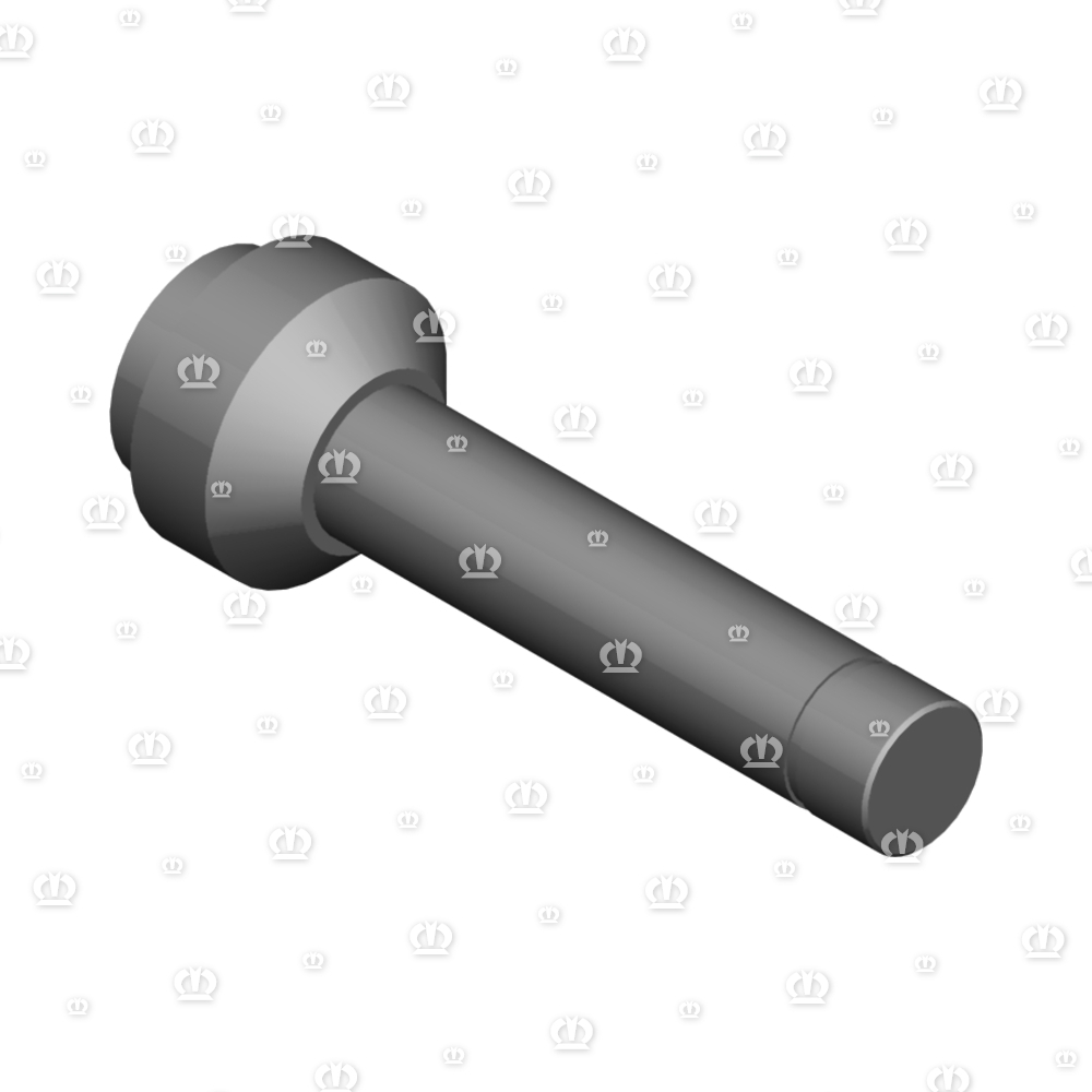 LAGERBOLZEN RD 60X171,5