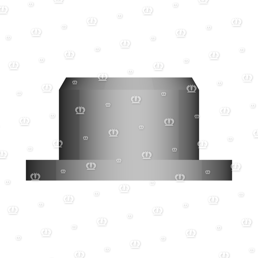 AUFNAHMEBUTZEN RD.50X25