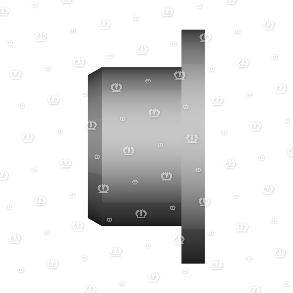 AUFNAHMEBUTZEN RD.50X25