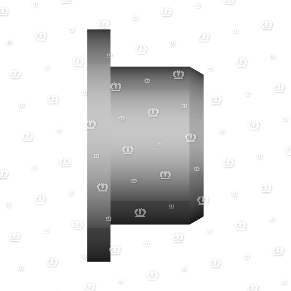 AUFNAHMEBUTZEN RD.50X25