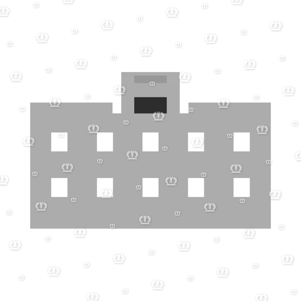 Stecker 10-p Bu transp.