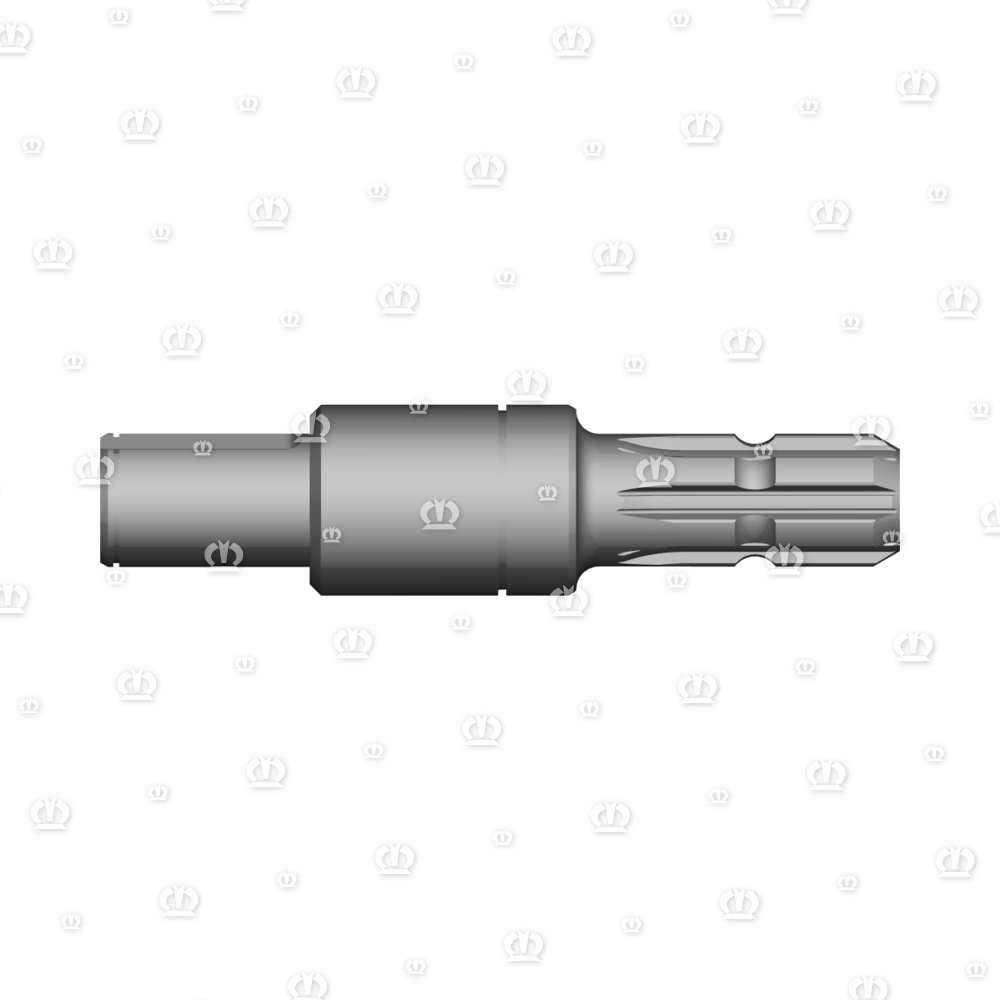Eingangswelle RD 55X210