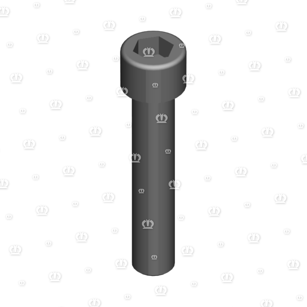ZYL.SCHR.M12X60 M.INNEN6KT