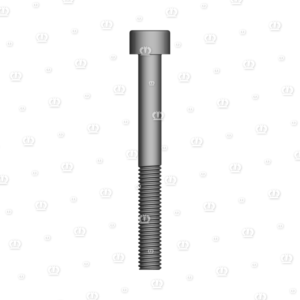 ZYL.SCHR.M5X45 M.IN.6KT.