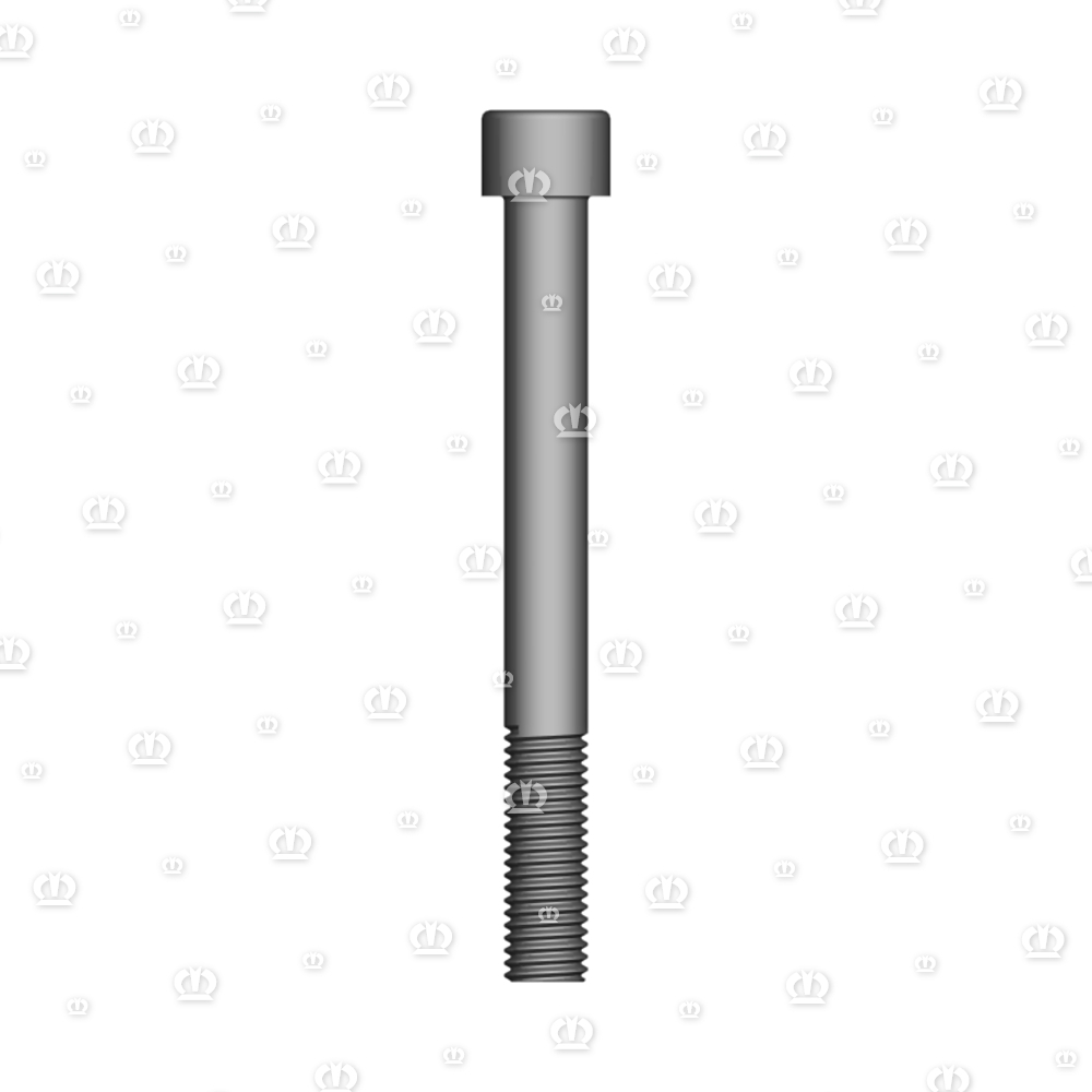 ZYL.SCHR M12X110 12.9