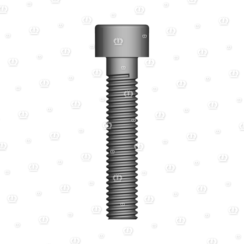 ZYL.SCHR. M6X30 / 912