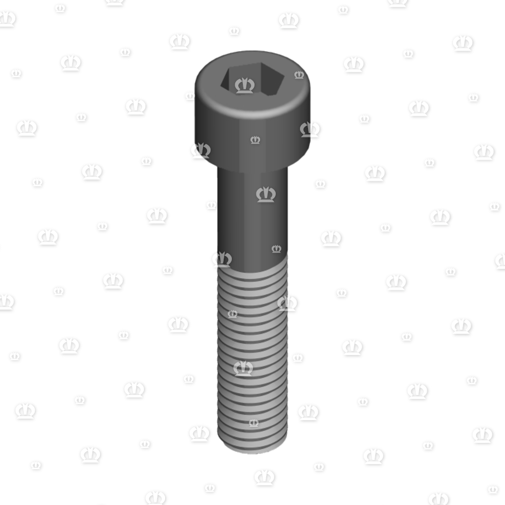 ZYL.SCHR. M10X50
