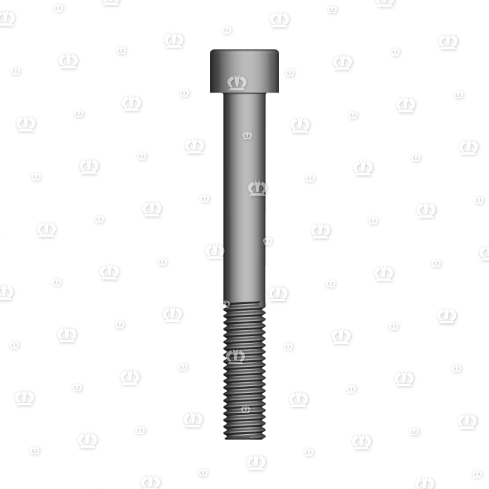 ZYL.SCHR. 10X80 8.8 A3G