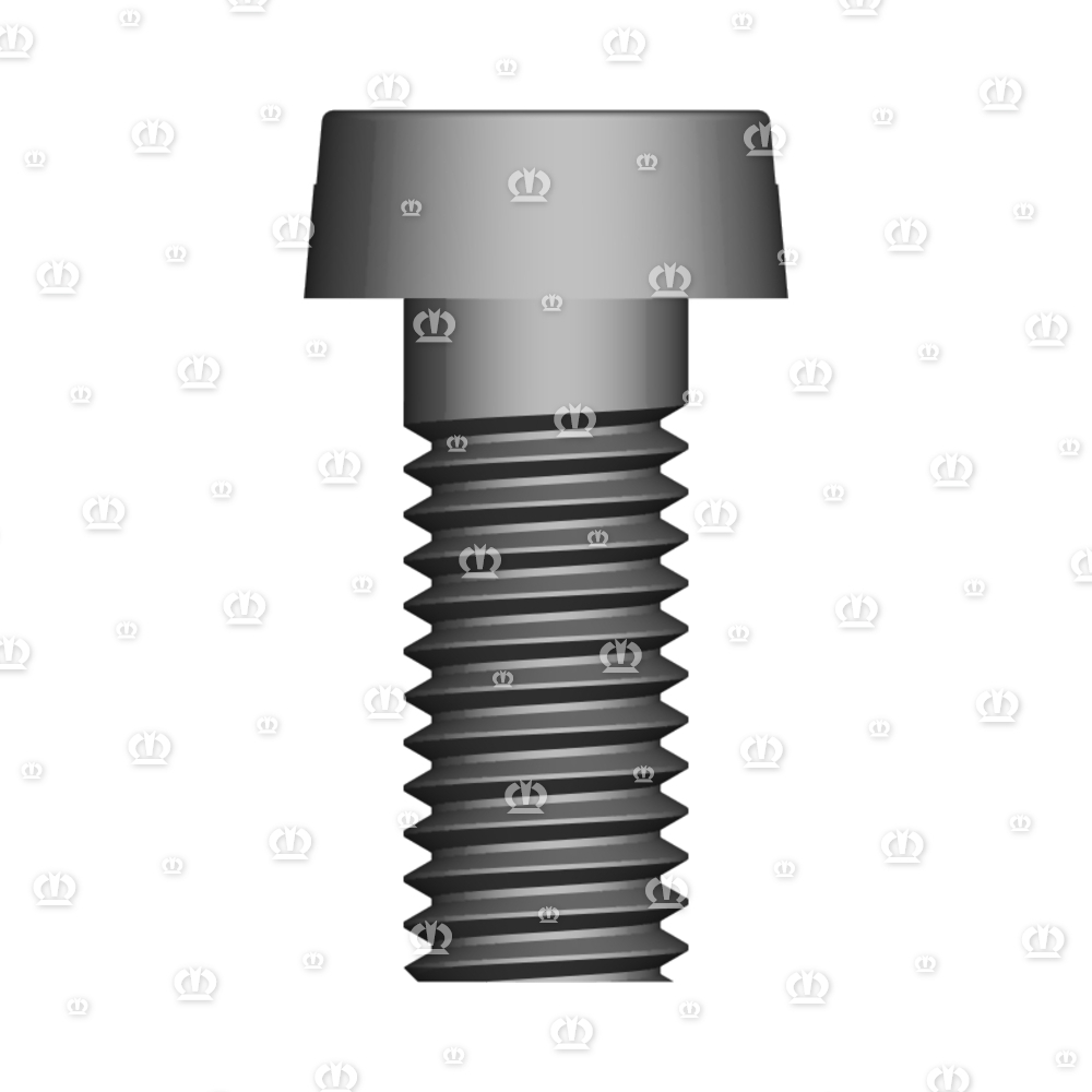 ZYL.SCHR. AM 5X12 M.SCHLIT