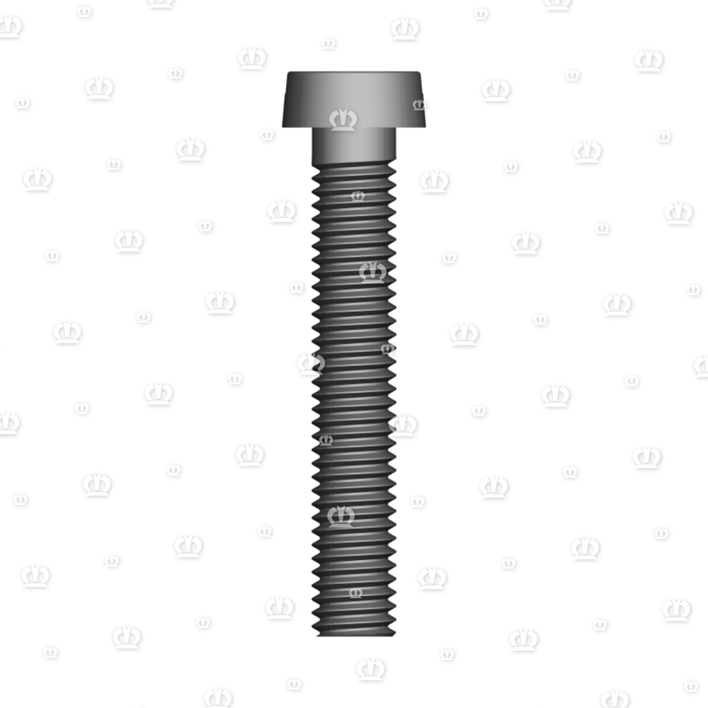 ZYL.SCHR.5X30 M.SCHL. 84