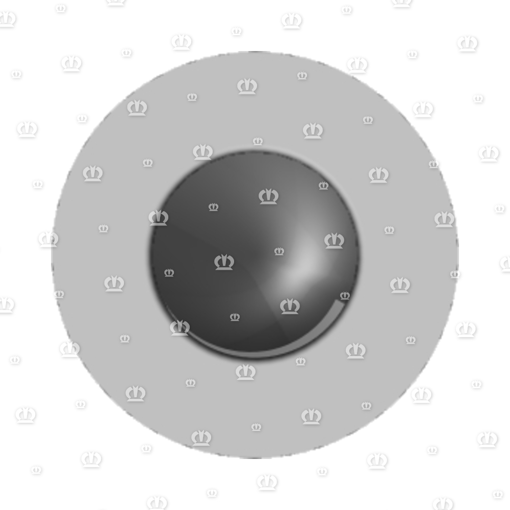 LINSENBLECHSCHR. B4,8X45