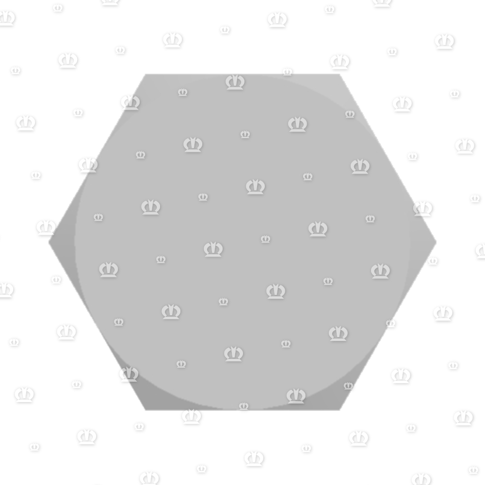 SKT.BLECHSCHR. B8X22 7976