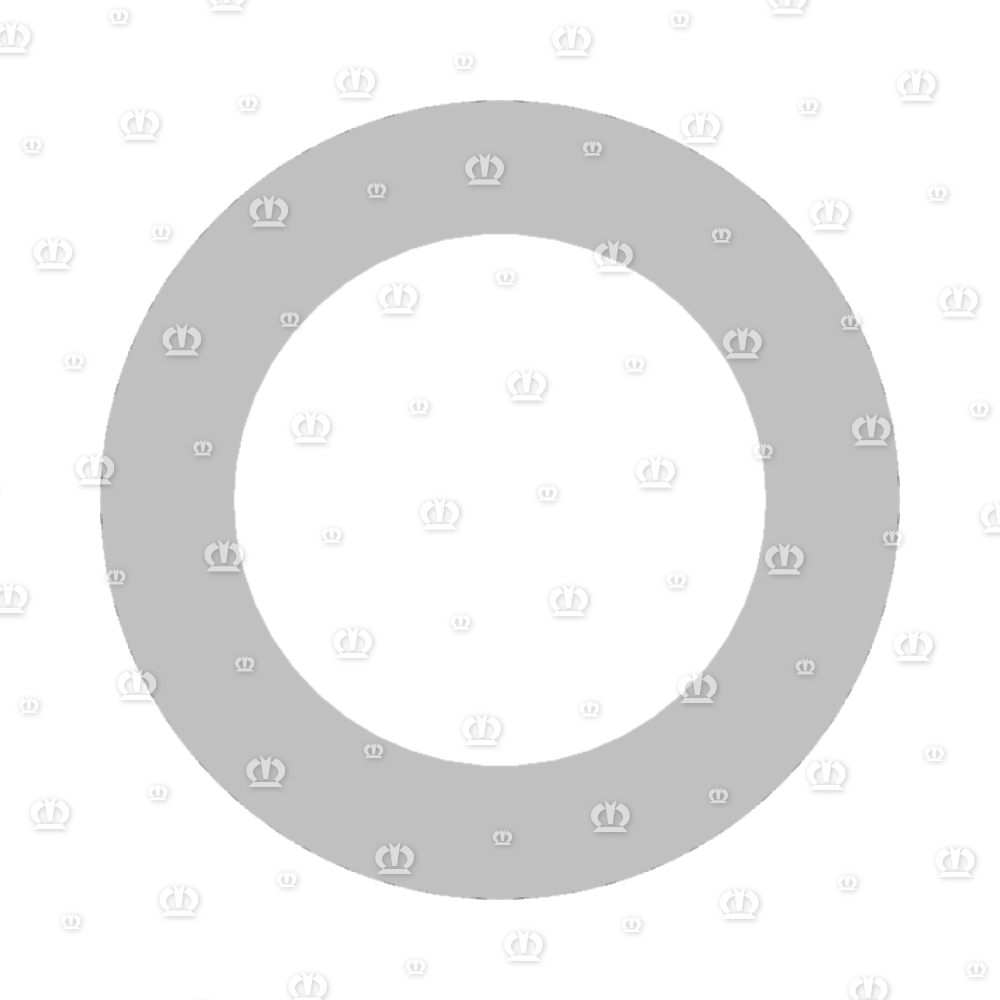 Sicherungsscheibe 13 x 19,5 x 2,5