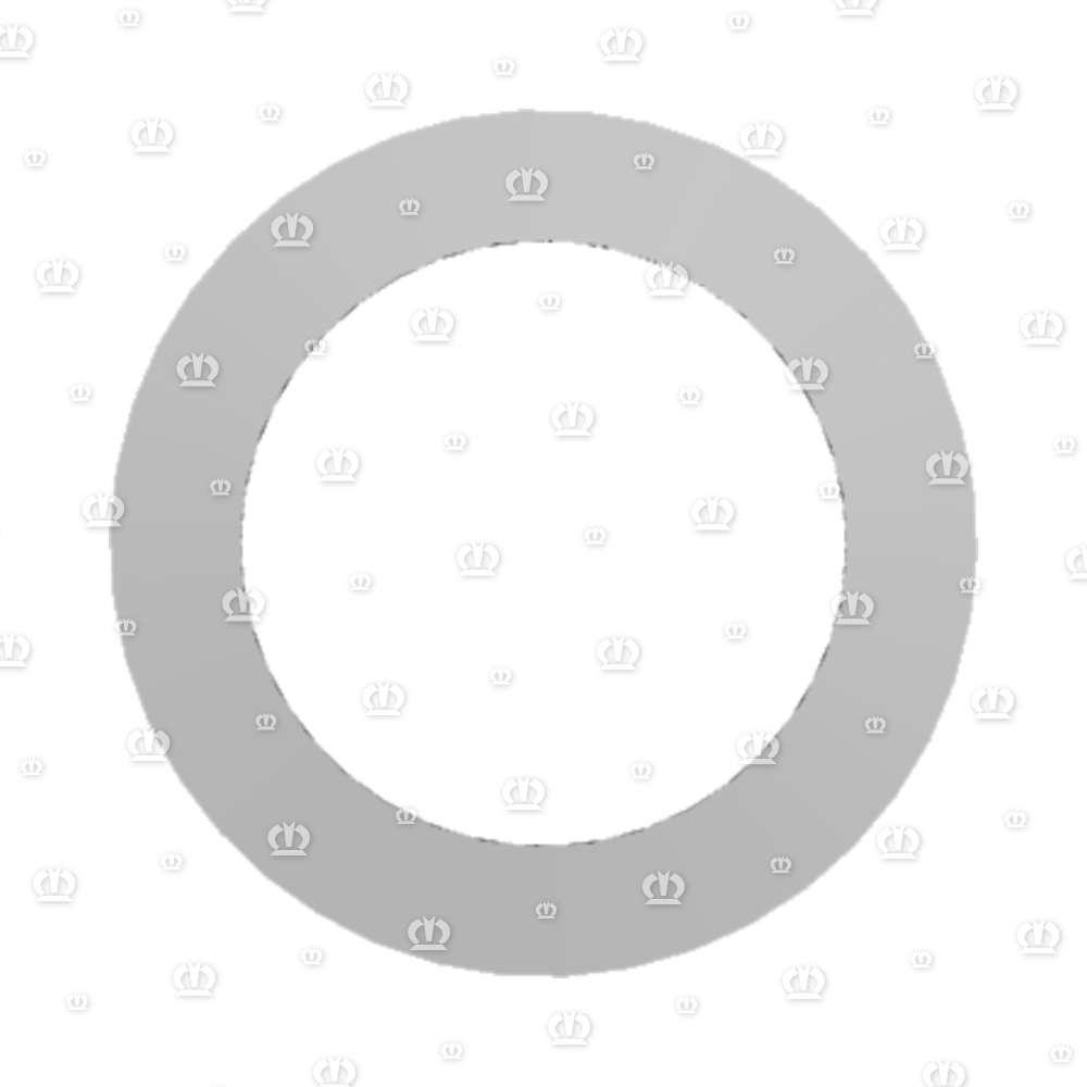 FEDERSCHEIBE 79,5X55,5X0,8