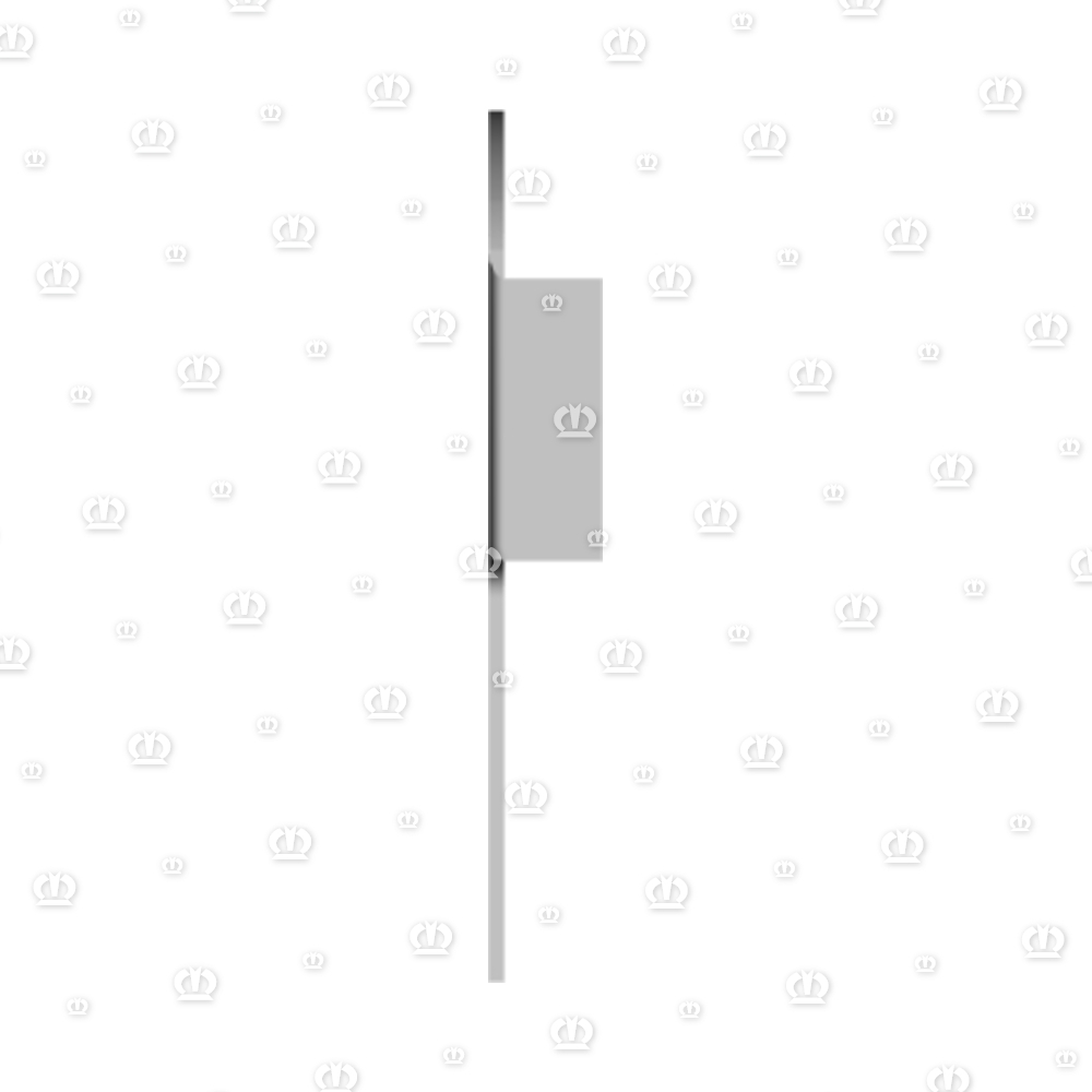 SCHEIBE 37X66X1,6