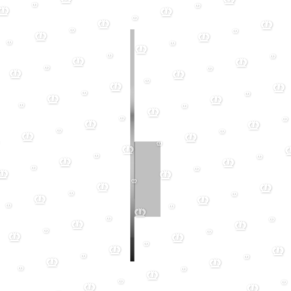SCHEIBE 37X66X1,6